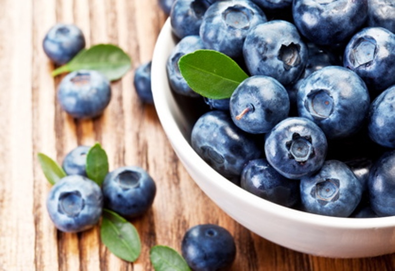 Blueberry - Billet az erdei ajándékok télen. Blueberry - Hasznos áfonya tulajdonságok