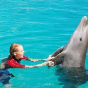 Delfinekkel barátkozott Iszak Eszter