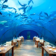A Föld legkülönösebb éttermei- Ebéd a fellegekben, vagy a víz alatt!