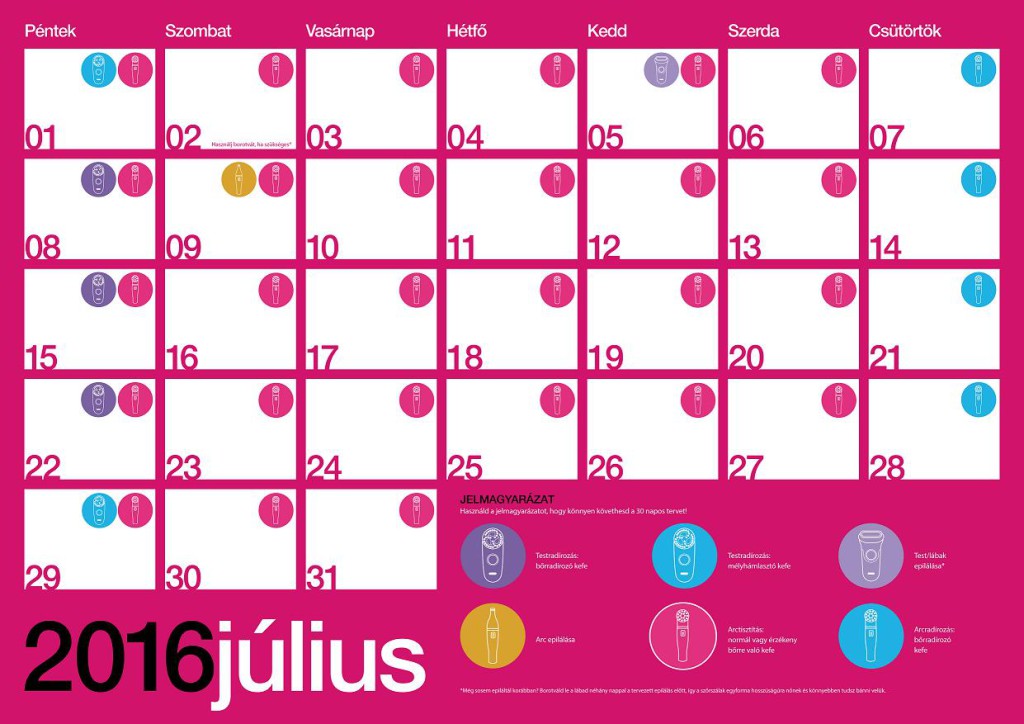 Braun Aphrodite 30 Day Plan Calendar HU julius