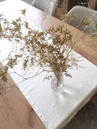 Penész, por, allergének - Mit tehet az egészségesebb otthoni környezetért?